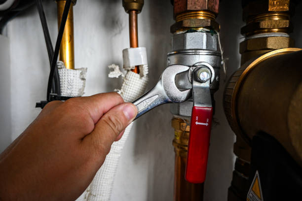 Best Plumbing Installation Services  in Round Lake, IL